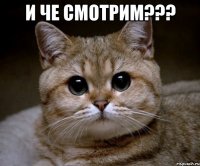 и че смотрим??? 