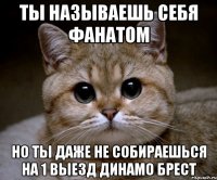 ты называешь себя фанатом но ты даже не собираешься на 1 выезд динамо брест