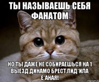 ты называешь себя фанатом но ты даже не собираешься на 1 выезд динамо брест,пид*ила е*аная!