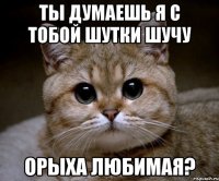 ты думаешь я с тобой шутки шучу орыха любимая?