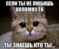 если ты не любишь коломну то ты знаешь кто ты...