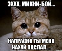 эххх, микки-бой... напрасно ты меня нахуй послал....