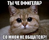 ты че офигела? со мной не общатся?!