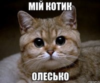 мій котик олесько