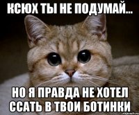 ксюх ты не подумай... но я правда не хотел ссать в твои ботинки