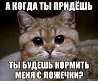 а когда ты придёшь ты будешь кормить меня с ложечки?