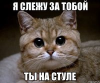 я слежу за тобой ты на стуле