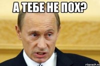 а тебе не пох? 