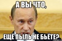 а вы что, ещё пыль не бьёте?