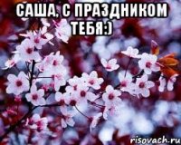 саша, с праздником тебя:) 