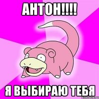 антон!!! я выбираю тебя