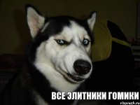 Все элитники гомики