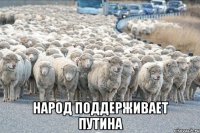  народ поддерживает путина