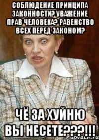 соблюдение принципа законности? уважение прав человека? равенство всех перед законом? чё за хуйню вы несете???!!!