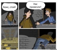 Бокс, стой! Нас привезли! 