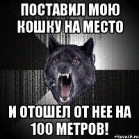 поставил мою кошку на место и отошел от нее на 100 метров!