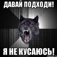 давай подходи! я не кусаюсь!