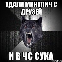 удали микулич с друзей и в чс сука