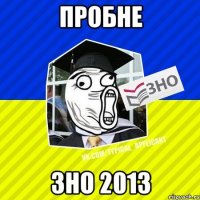 пробне зно 2013