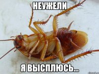 неужели я высплюсь...