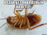 водка без пива деньги на ветер! 