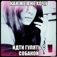 как же я не хочу идти гулять с собакой