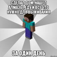 сделал дом, нашел алмазы, еду и все что нужно для выживания за один день