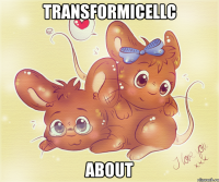 transformicellc about