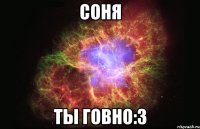 соня ты говно:3