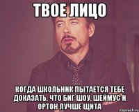 твое лицо когда школьник пытается тебе доказать, что биг шоу, шеймус и ортон лучше щита