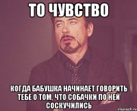 то чувство когда бабушка начинает говорить тебе о том, что собачки по ней соскучились