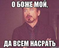 о боже мой, да всем насрать