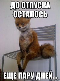 до отпуска осталось еще пару дней...