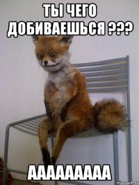 ты чего добиваешься ??? ааааааааа