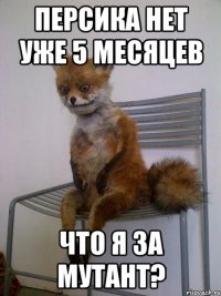 персика нет уже 5 месяцев что я за мутант?