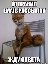 отправил email-рассылку жду ответа