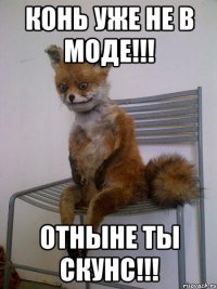 конь уже не в моде!!! отныне ты скунс!!!