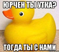 юрчен ты утка? тогда ты с нами