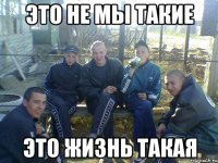 это не мы такие это жизнь такая