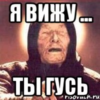 я вижу ... ты гусь