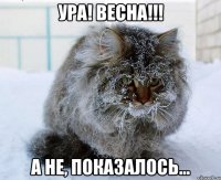 ура! весна!!! а не, показалось...