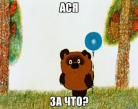 ася за что?