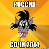 россия сочи 2014