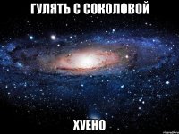 гулять с соколовой хуено