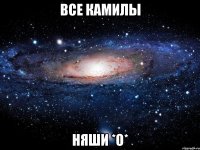 все камилы няши *о*