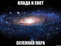 влада и енот охуенная пара