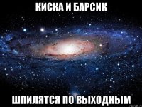 киска и барсик шпилятся по выходным