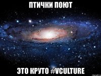 птички поют это круто #vculture