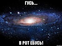 гусь.... в рот ебусь!