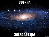 собина заебала едь!